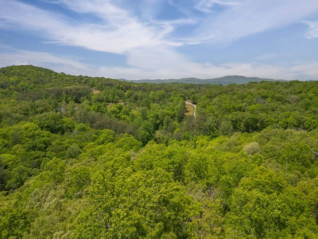 2.90Acre Galloway Road, Blue Ridge, GA 30513