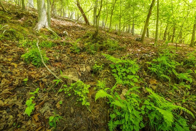 2.90Acre Galloway Road, Blue Ridge, GA 30513