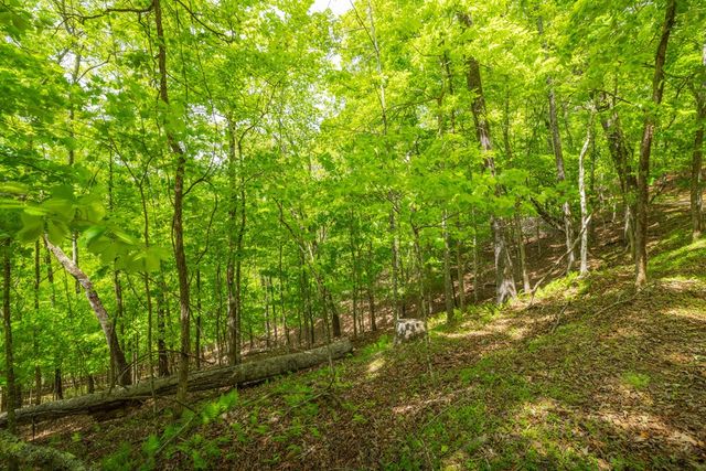2.90Acre Galloway Road, Blue Ridge, GA 30513