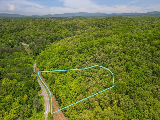 2.90Acre Galloway Road, Blue Ridge, GA 30513