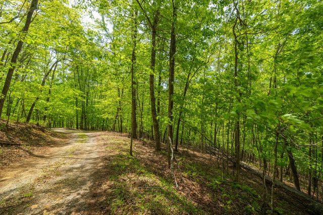 2.90Acre Galloway Road, Blue Ridge, GA 30513