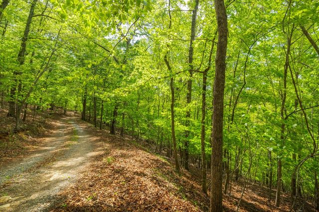 2.90Acre Galloway Road, Blue Ridge, GA 30513