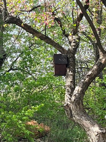 192 Brompton Lane B, Sugar Grove, IL 60554