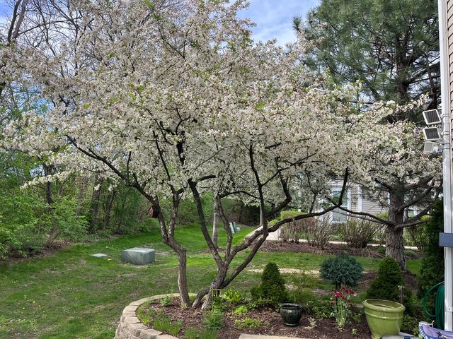 192 Brompton Lane B, Sugar Grove, IL 60554