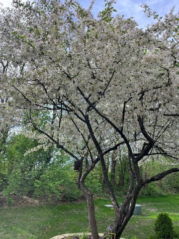 192 Brompton Lane B, Sugar Grove, IL 60554