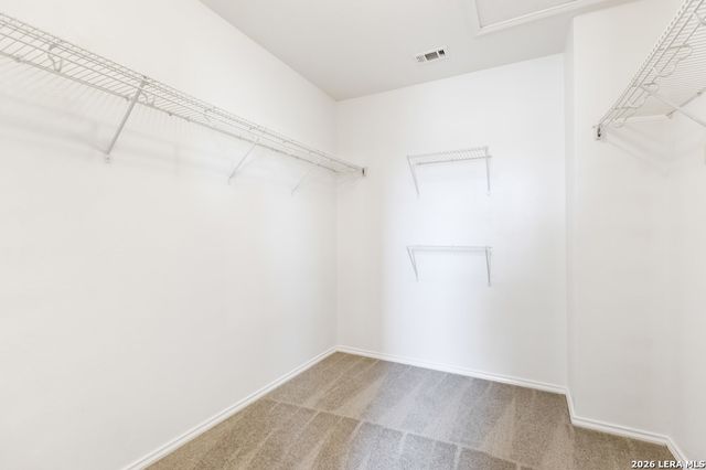 10919 Livewater, San Antonio, TX 78245