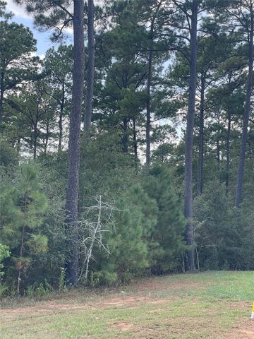 9424 Old Cedars Drive, Plantersville, TX 77363