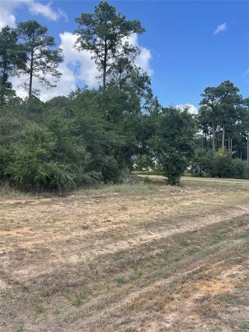 9424 Old Cedars Drive, Plantersville, TX 77363