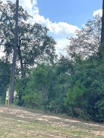 9424 Old Cedars Drive, Plantersville, TX 77363