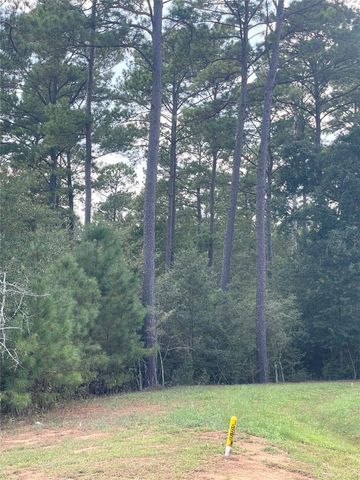 9424 Old Cedars Drive, Plantersville, TX 77363