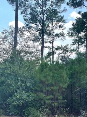 9424 Old Cedars Drive, Plantersville, TX 77363