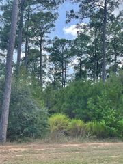 9424 Old Cedars Drive, Plantersville, TX 77363