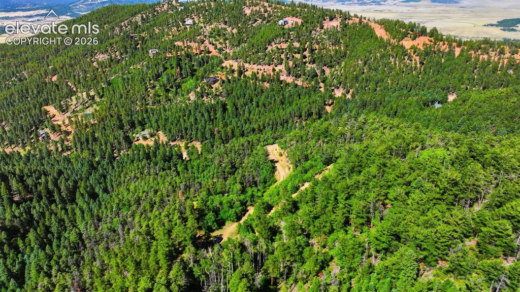 13488 S Firedog Way, Larkspur, CO 80118 — photo 2