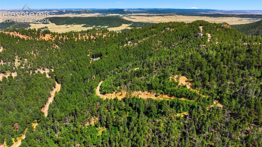 13488 S Firedog Way, Larkspur, CO 80118 — photo 5