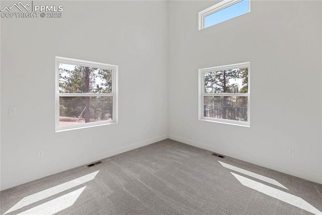 1328 N Mountain Estates Road, Florissant, CO 80816