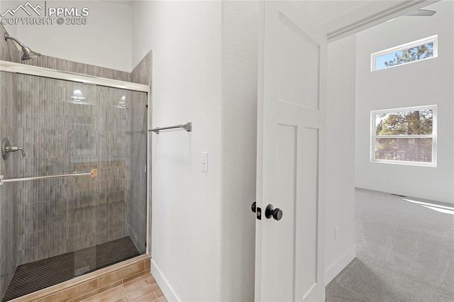 1328 N Mountain Estates Road, Florissant, CO 80816