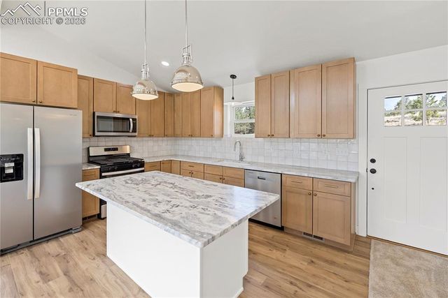 1328 N Mountain Estates Road, Florissant, CO 80816