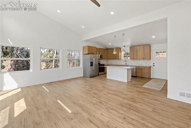 1328 N Mountain Estates Road, Florissant, CO 80816