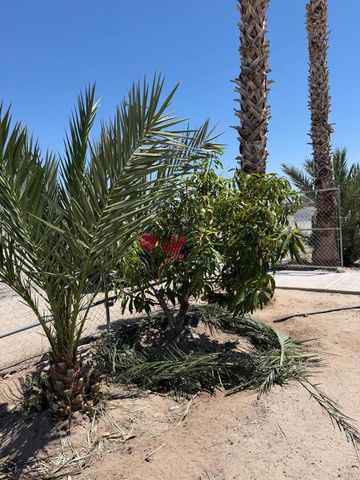 2531 Butte Place, Thermal, CA 92274