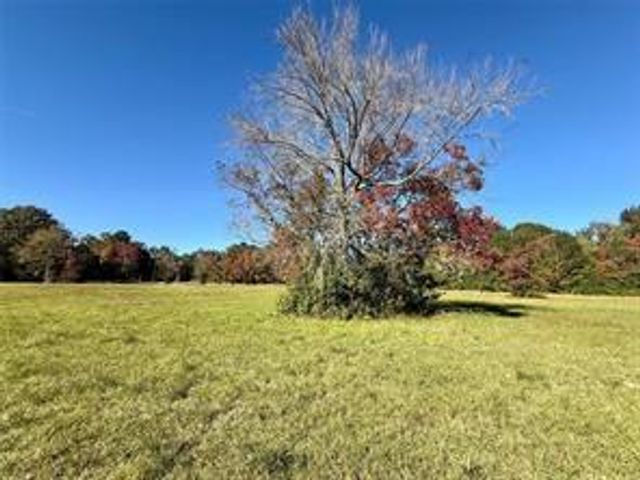 225 State Highway Loop 116, Livingston, TX 77351