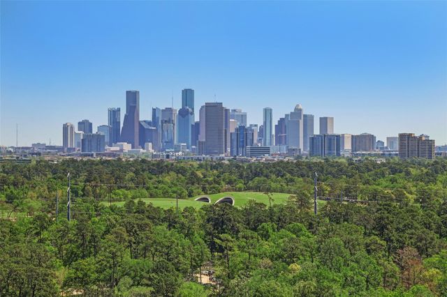 121 N Post Oak Lane 706, Houston, TX 77024