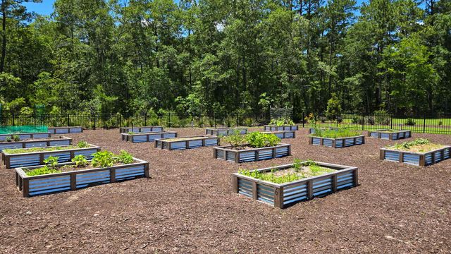 259 Warner Crossing Way, Loris, SC 29569