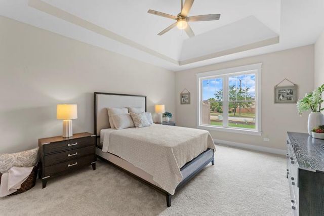 8803 WILLOW Lane MODEL, Mokena, IL 60448
