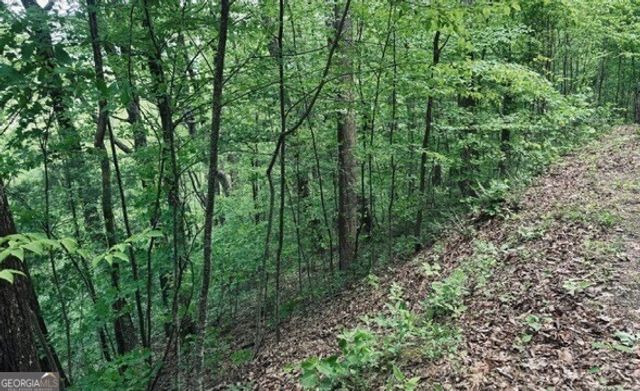 409 & 411 Barefoot Rise, Hiawassee, GA 30546