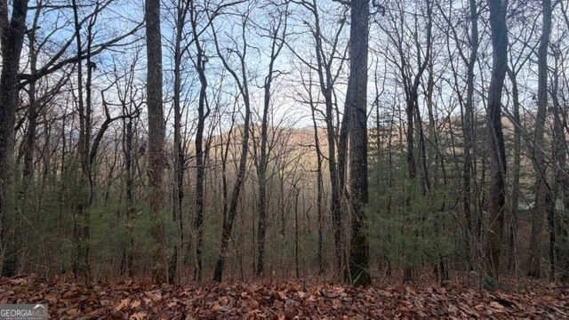 409 & 411 Barefoot Rise, Hiawassee, GA 30546