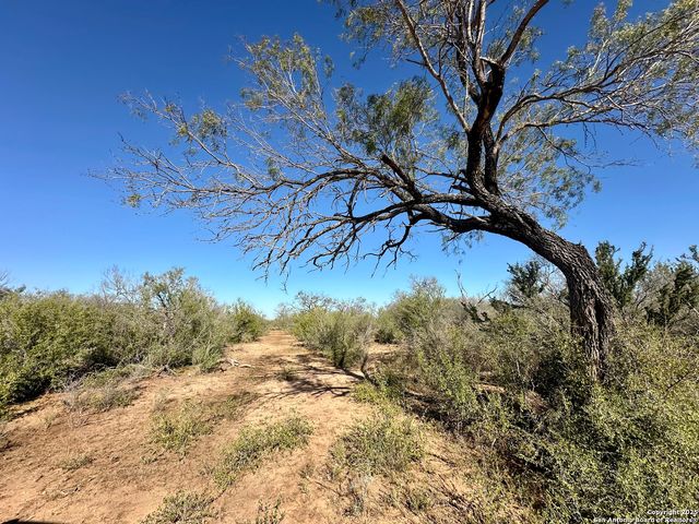 0 County Road 733, Moore, TX 78057