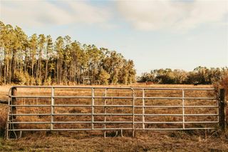 5812 N DORMANY ROAD, Plant City, FL 33565