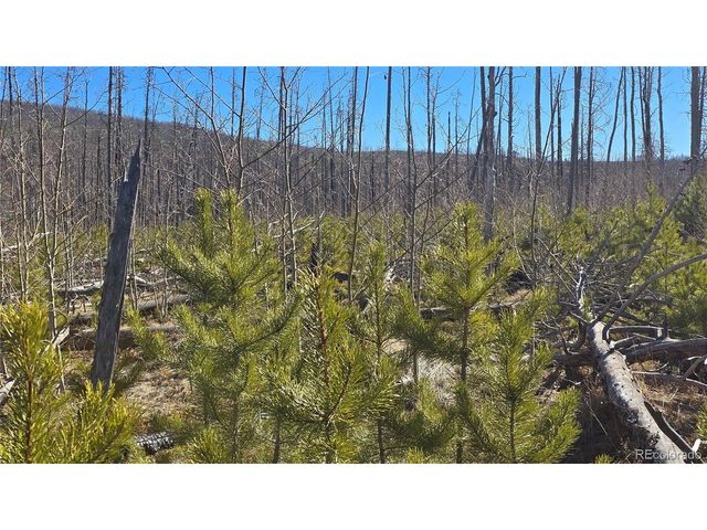 1460 Von Heyl Ln, Fort Garland, CO 81133