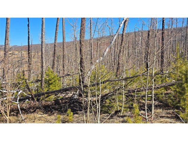 1460 Von Heyl Ln, Fort Garland, CO 81133