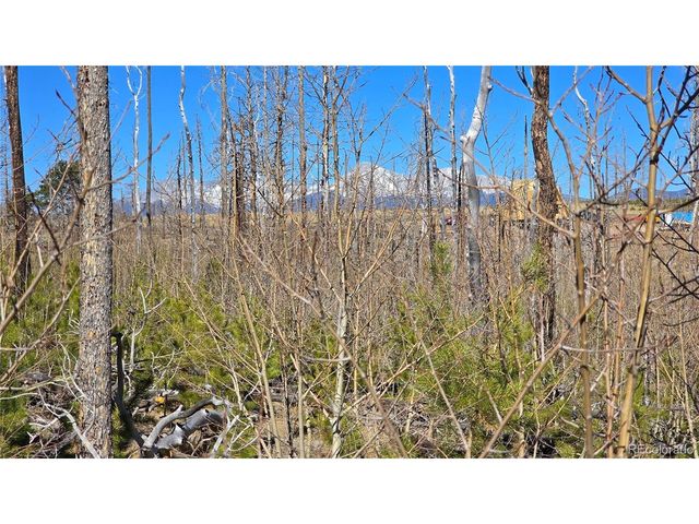 1460 Von Heyl Ln, Fort Garland, CO 81133