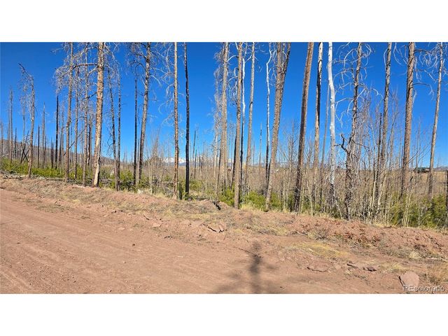 1460 Von Heyl Ln, Fort Garland, CO 81133
