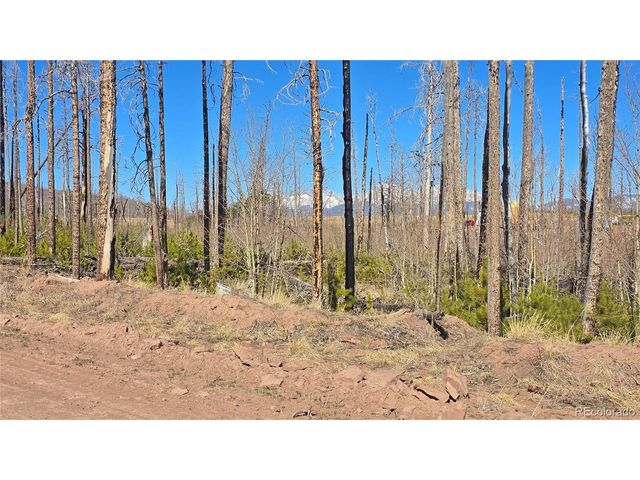 1460 Von Heyl Ln, Fort Garland, CO 81133