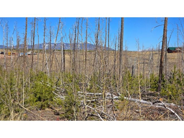 1460 Von Heyl Ln, Fort Garland, CO 81133
