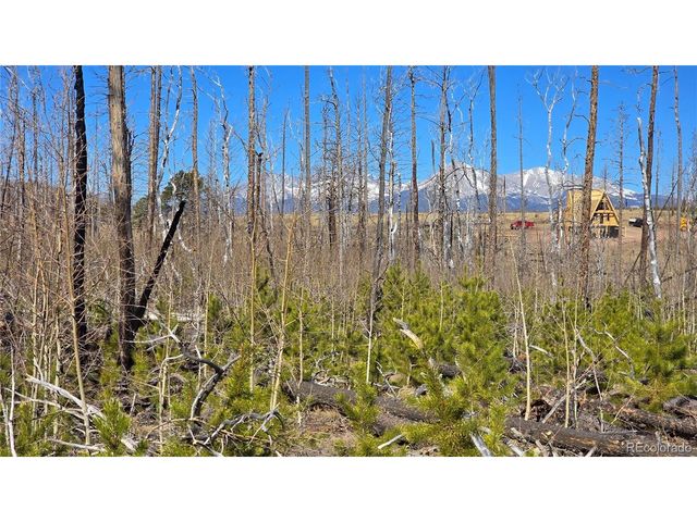 1460 Von Heyl Ln, Fort Garland, CO 81133