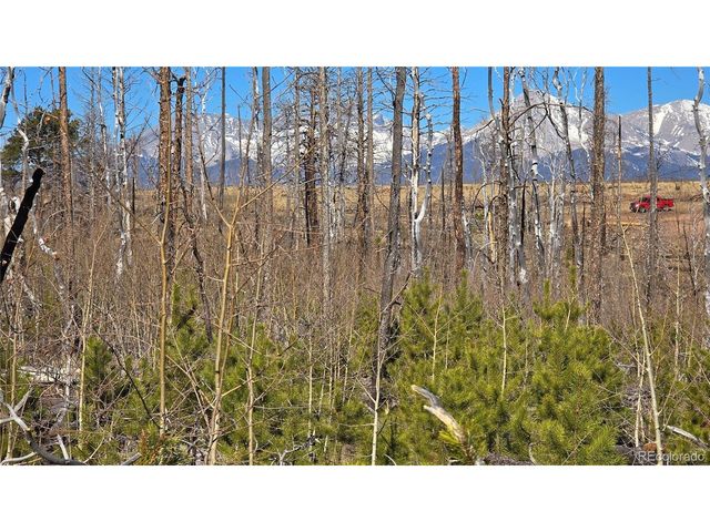 1460 Von Heyl Ln, Fort Garland, CO 81133