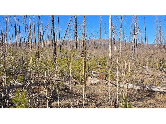 1460 Von Heyl Ln, Fort Garland, CO 81133