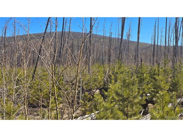 1460 Von Heyl Ln, Fort Garland, CO 81133