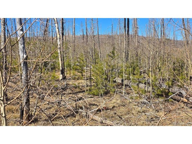 1460 Von Heyl Ln, Fort Garland, CO 81133