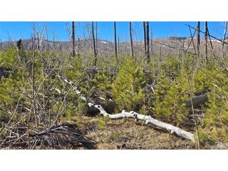 1460 Von Heyl Ln, Fort Garland, CO 81133