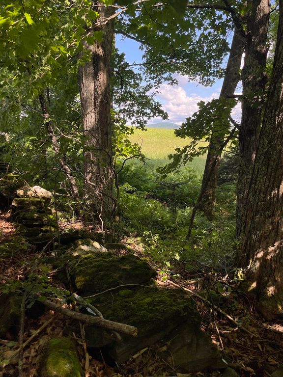 00 Ledge Hill Road, Calais, VT 05648