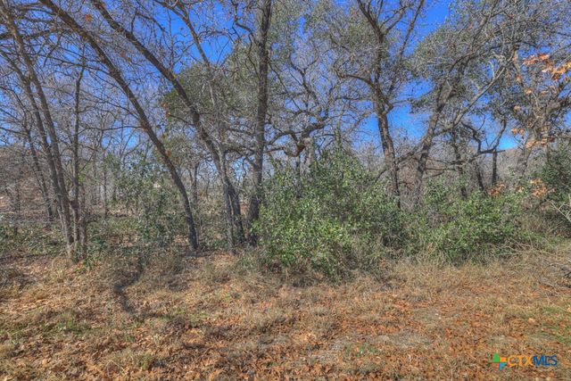 23115 Pocahontas, San Antonio, TX 78264
