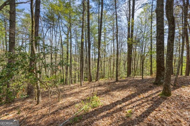 1243 Hooper Road NE, Cleveland, GA 30528