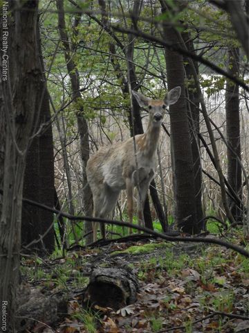 4967 Oak Hill Drive, Waterford Charter Township, MI 48329