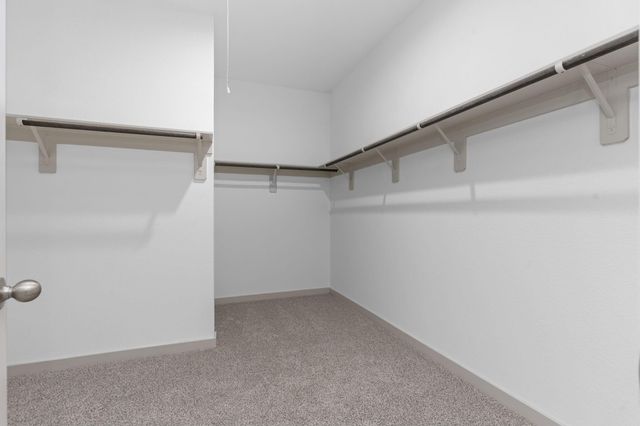 1743 Stargrass Lane, Alvin, TX 77511