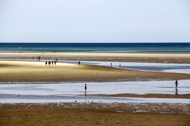 279 Alden Drive, Brewster, MA 02631