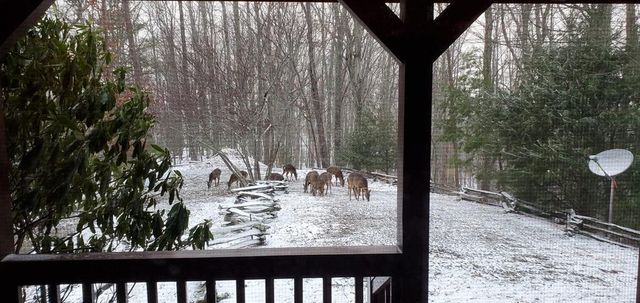 16 Enchanting Circle, Morganton, GA 30560